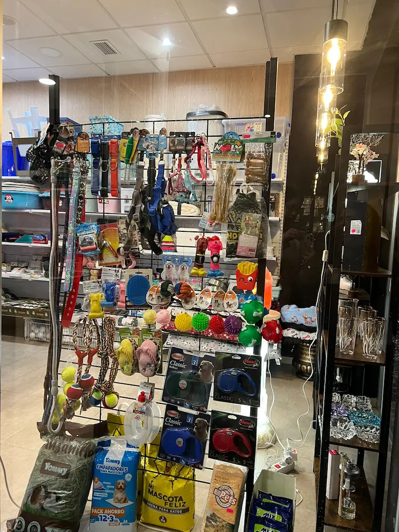 Correas mascotas